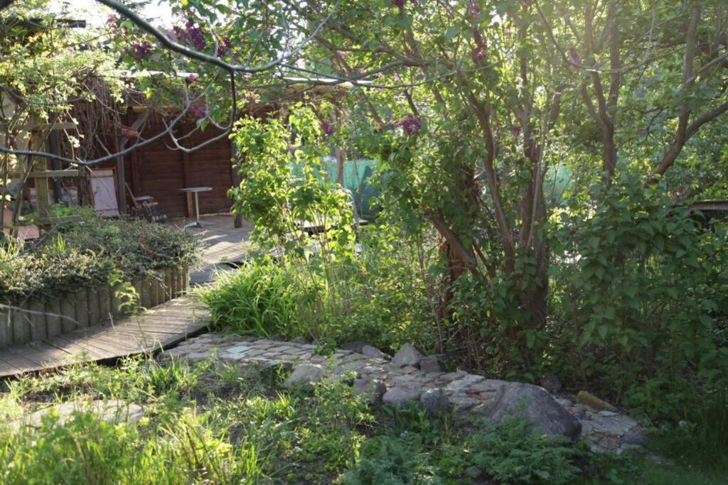 Ferienwohnung In Peetzig Am See Angermunde Esterno foto