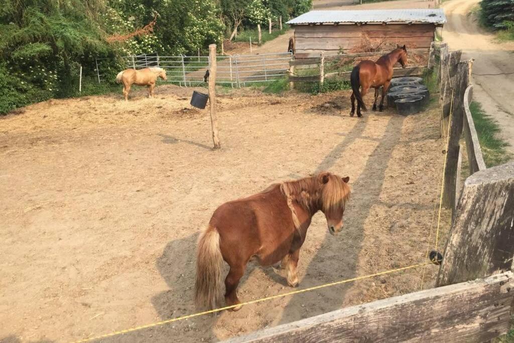 Ferienwohnung In Peetzig Am See Angermunde Esterno foto